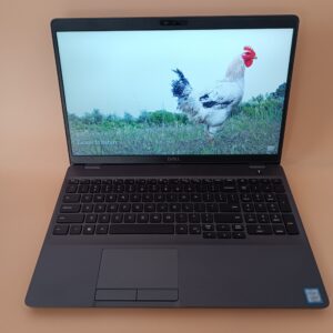 Dell Latitude 5500