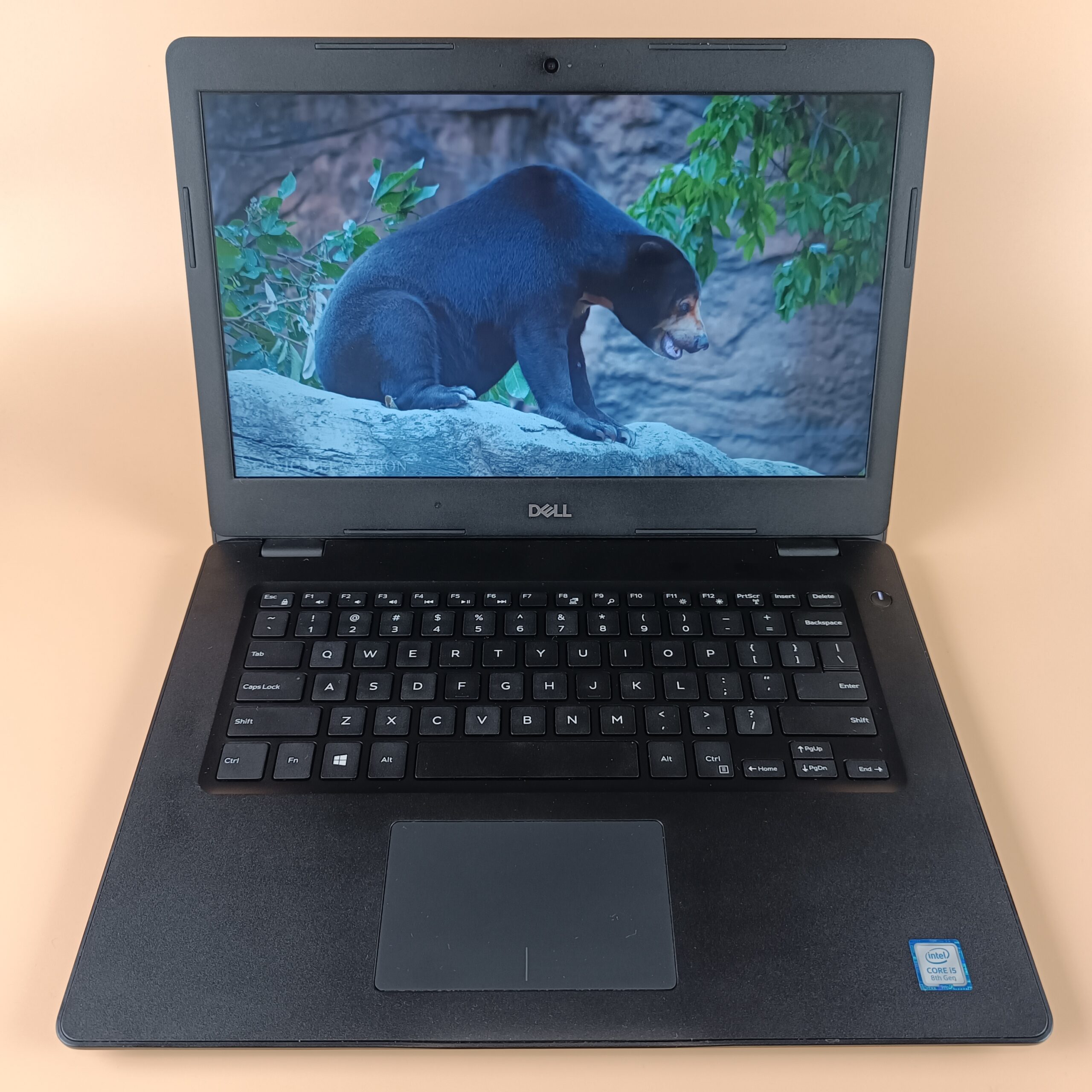Dell Latitude 3490