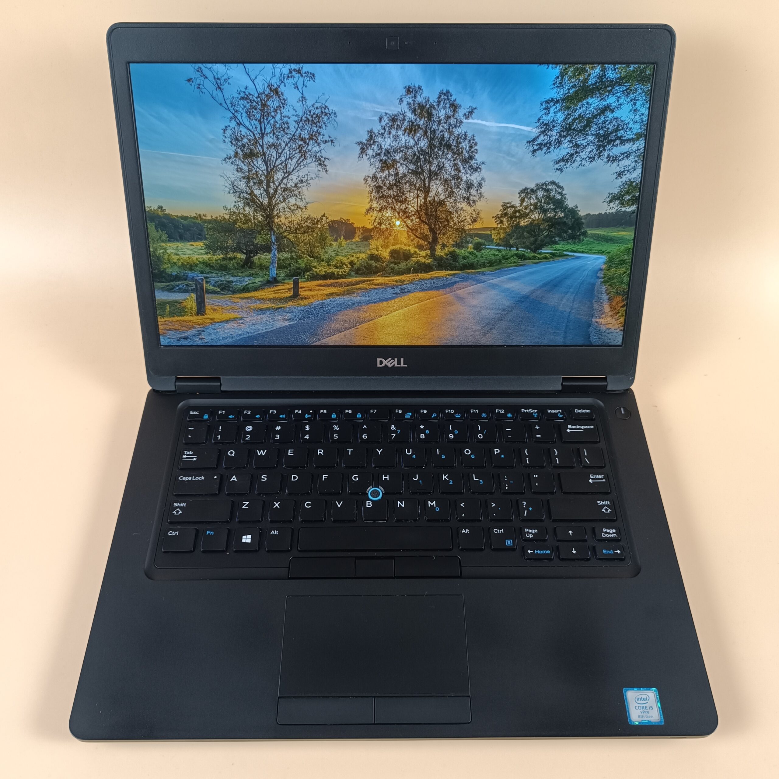 Dell Latitude 5490 i5-8350U/8Гб/256Гб